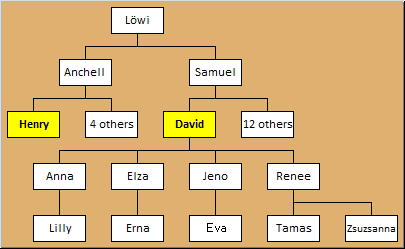David's Tree