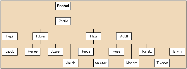 Rachel's Tree